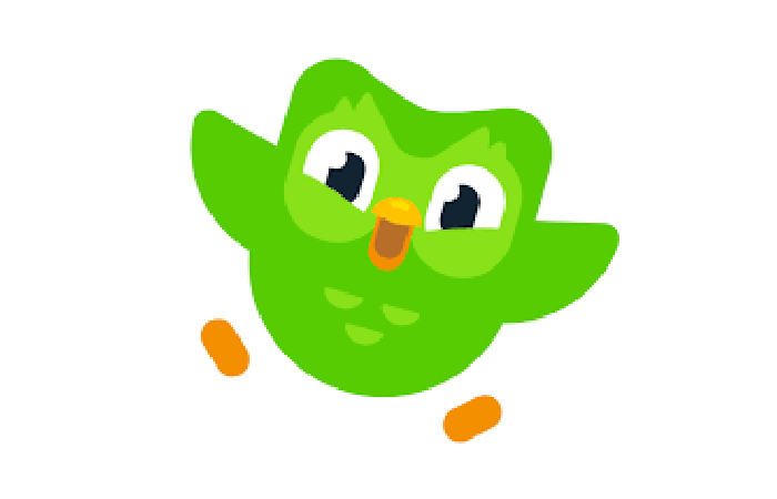 Top Free Websites Duolingo